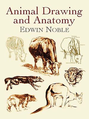 cover image of Animal Drawing and Anatomy